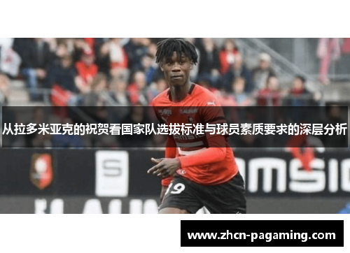 从拉多米亚克的祝贺看国家队选拔标准与球员素质要求的深层分析