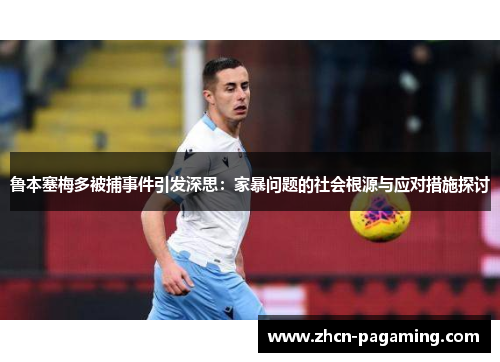 鲁本塞梅多被捕事件引发深思：家暴问题的社会根源与应对措施探讨