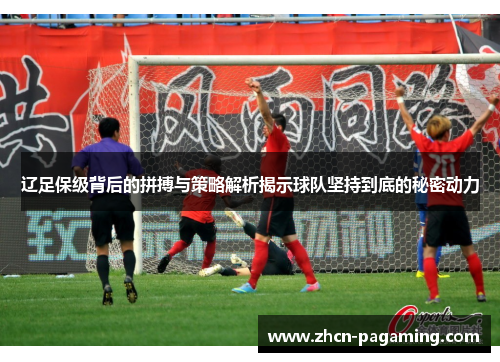 辽足保级背后的拼搏与策略解析揭示球队坚持到底的秘密动力
